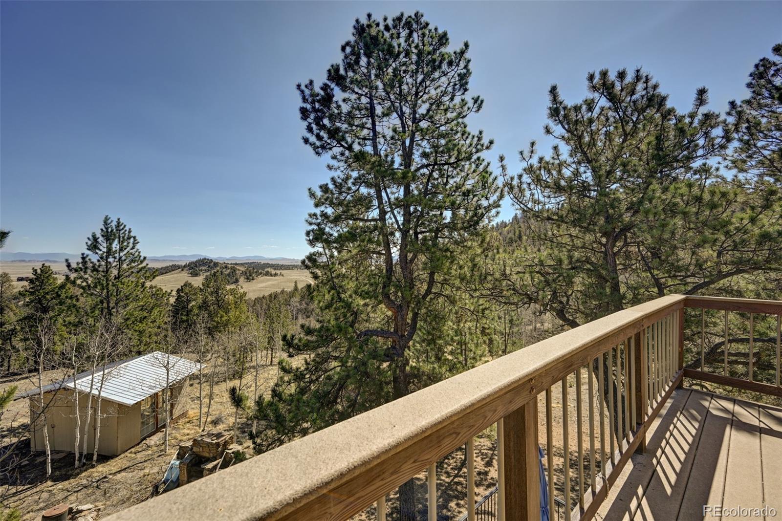 447 Blacksmith Road Hartsel, CO 80449 - Photo 38 of 49