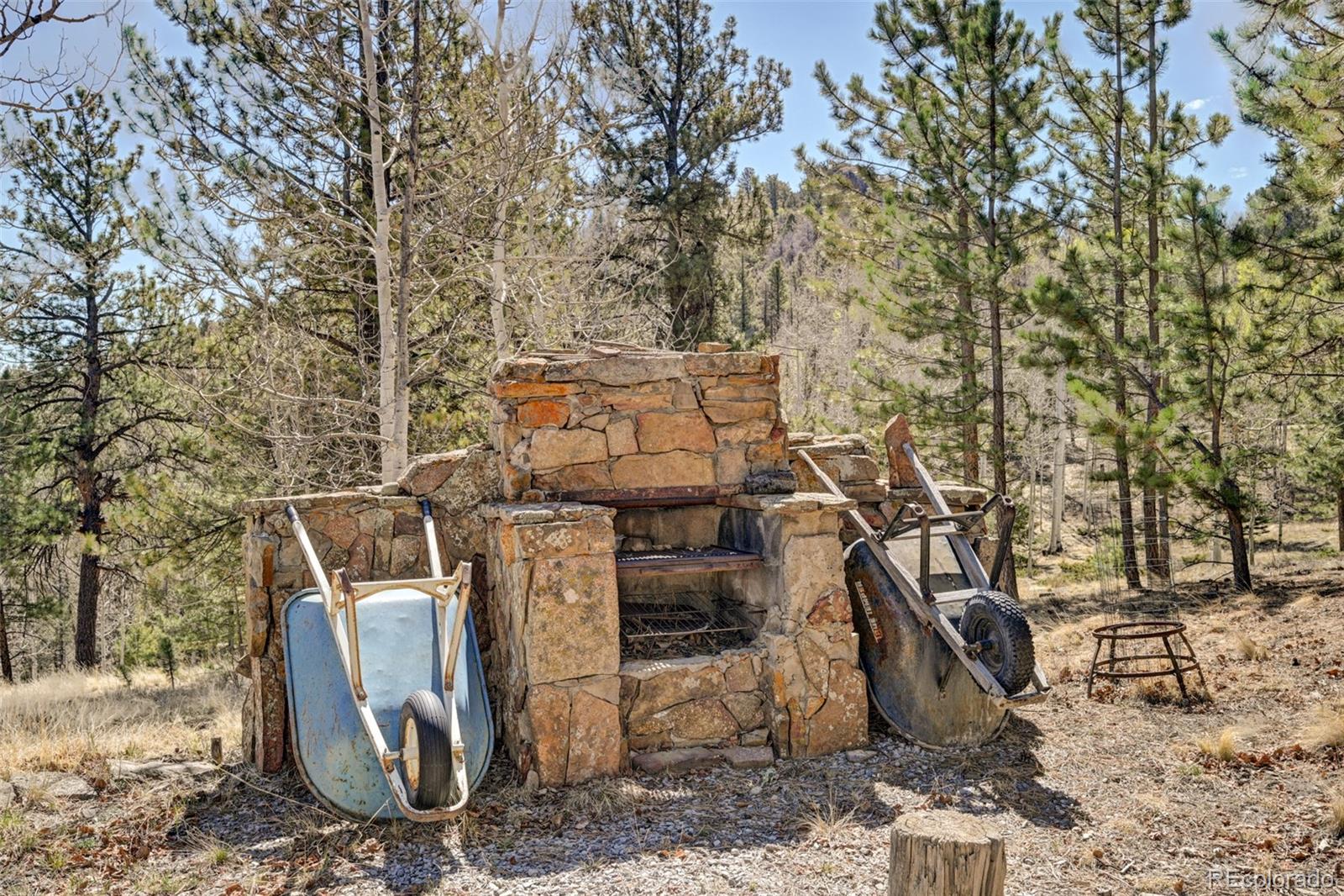 447 Blacksmith Road Hartsel, CO 80449 - Photo 44 of 49