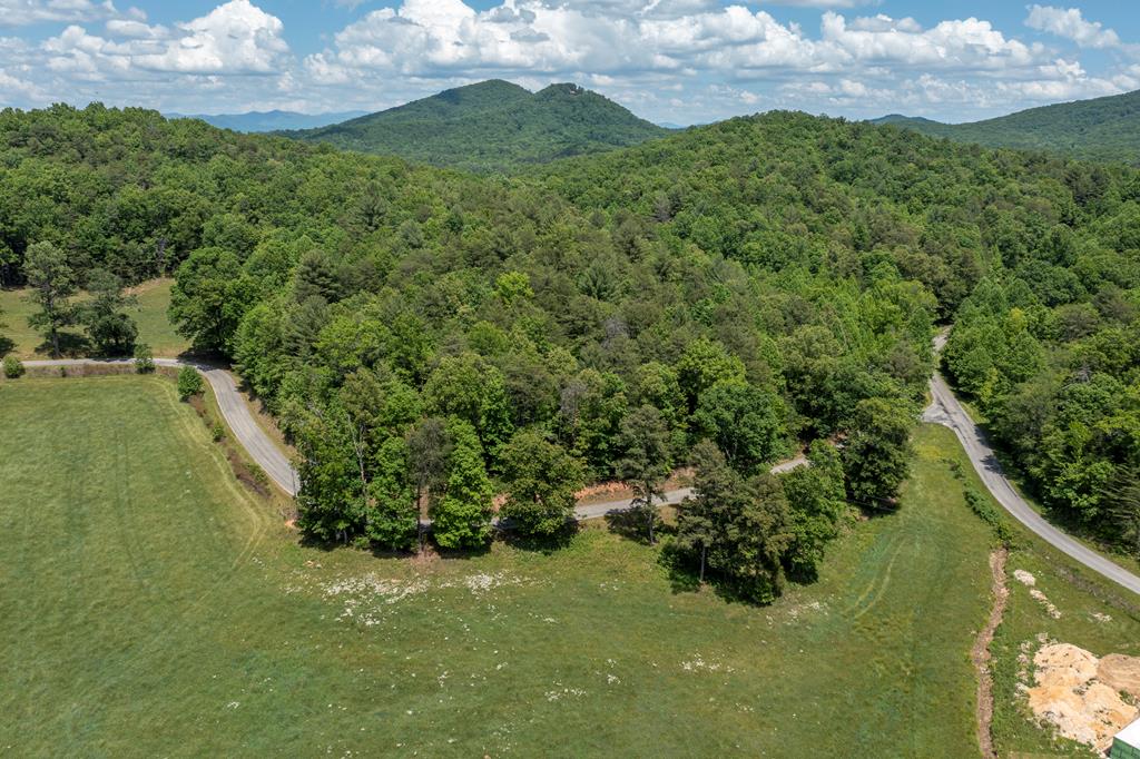 4.0-acre Donley Road Murphy, NC 28906 - Photo 14 of 15
