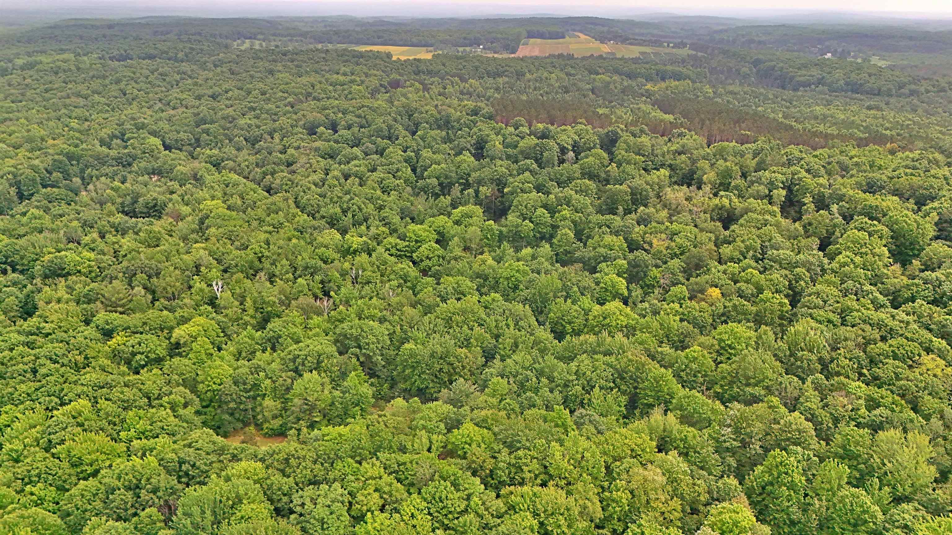Vl 00 Cherry Hill Road Fife Lake, MI 49633 - Photo 16 of 26