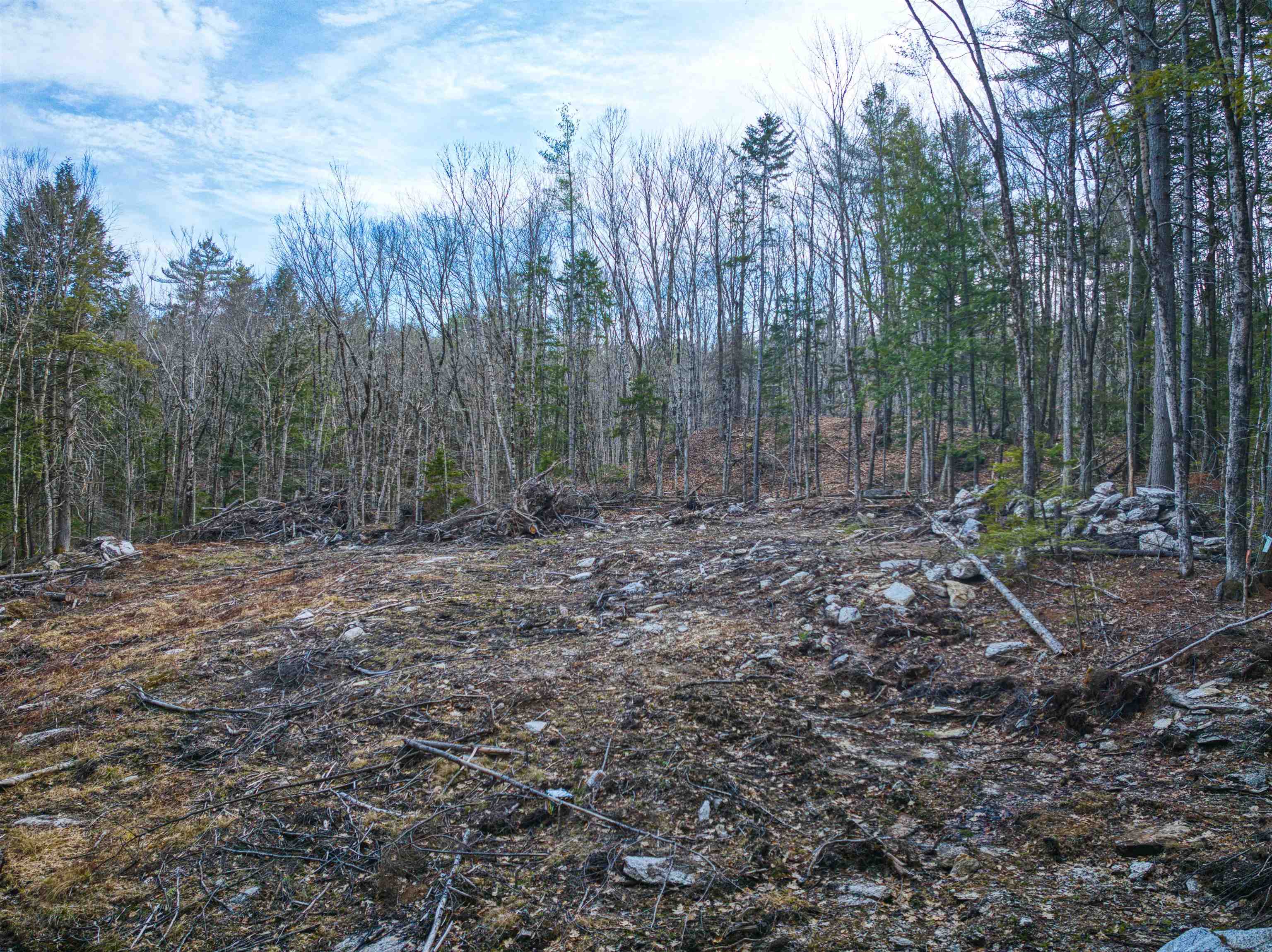 0 Hominy Pot Road Bradford, NH 03221 - Photo 5 of 11