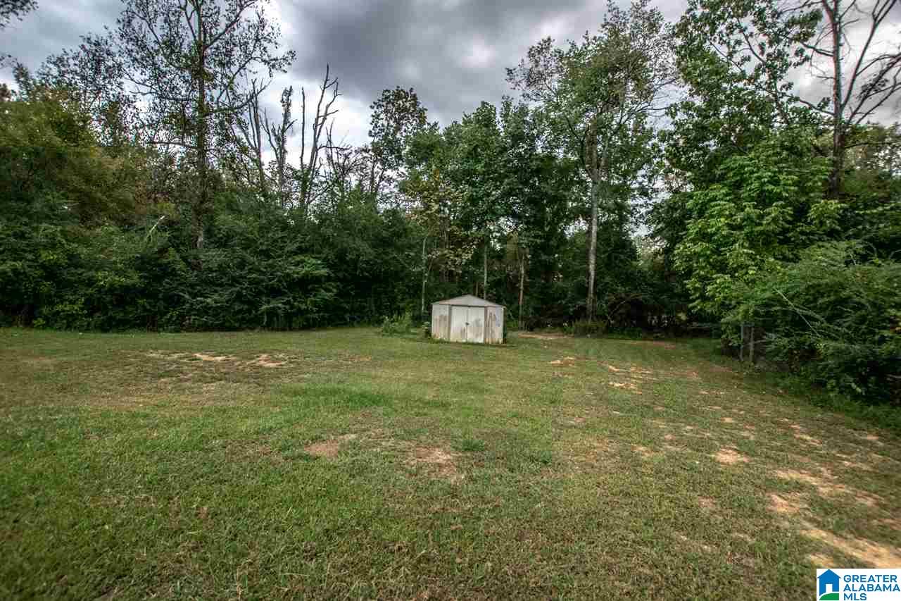 102 Wet Cat Road Hayden, AL 35079 - Photo 43 of 44