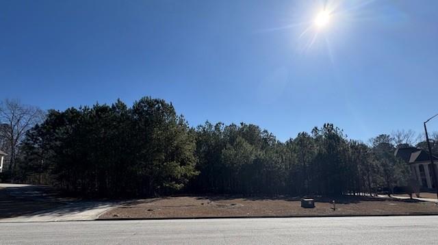 a view of outdoor space and street view