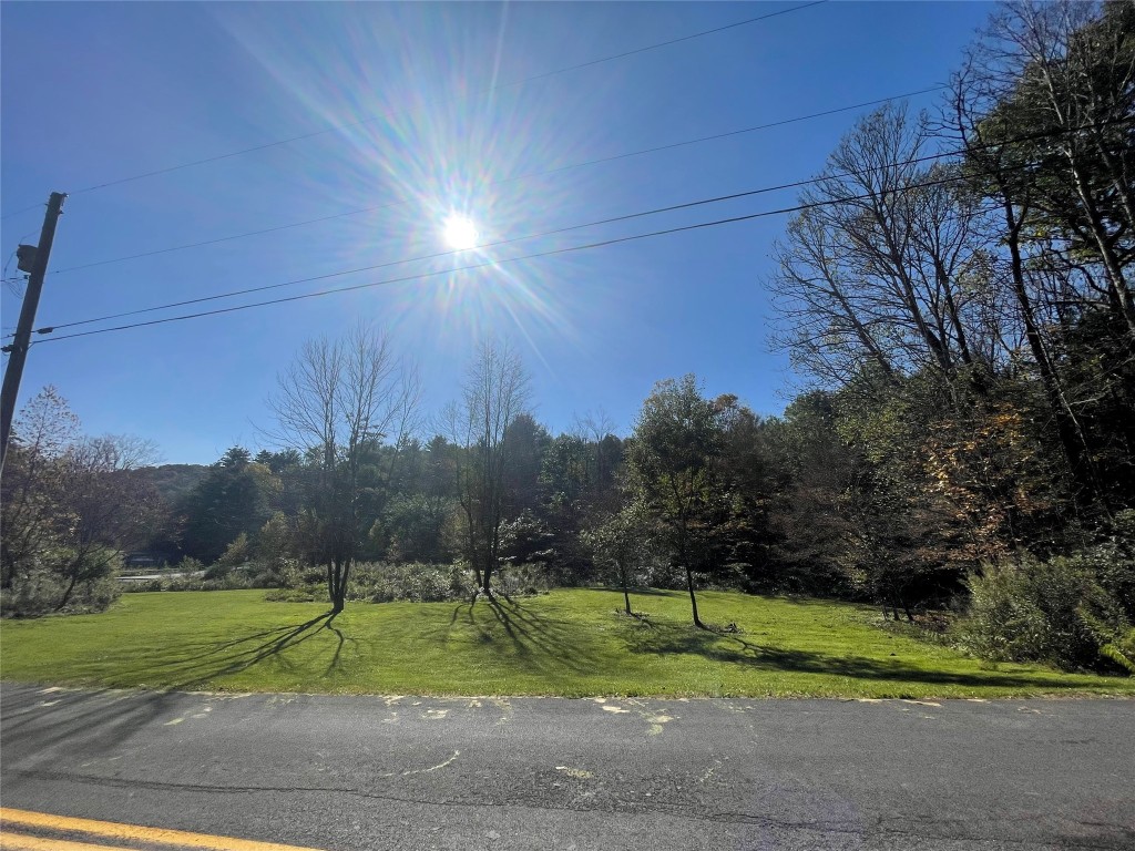 433 Scouten Hill Road Windsor, NY 13865 - Photo 2 of 7 Gallery Image 2