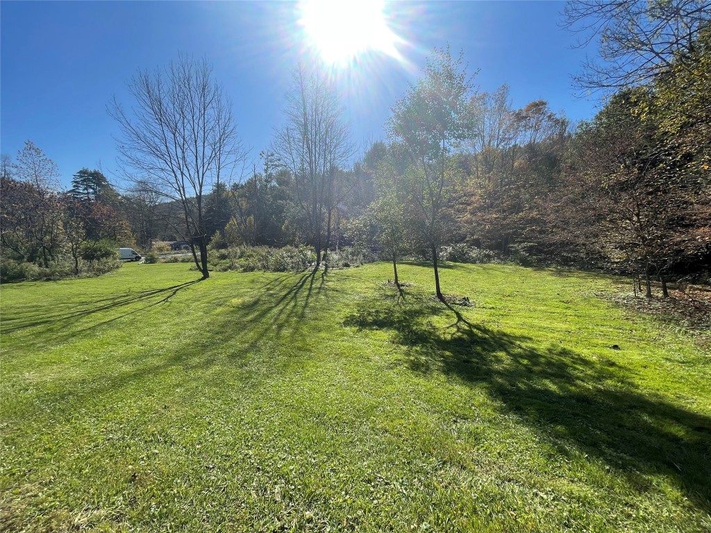 433 Scouten Hill Road Windsor, NY 13865 - Photo 3 of 7 Gallery Image 3