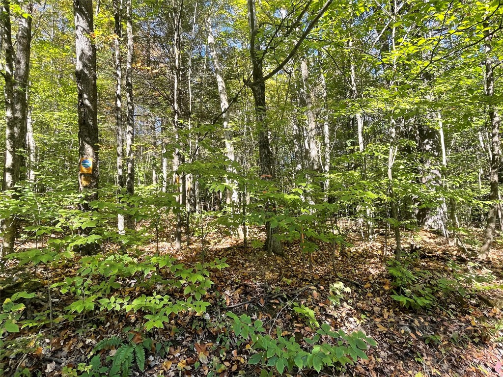 433 Scouten Hill Road Windsor, NY 13865 - Photo 7 of 7 Gallery Image 7