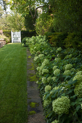 1320 Elm Tree Road Lake Forest, IL 60045 - Photo 4 of 52 a view of a yard with plants and large trees
