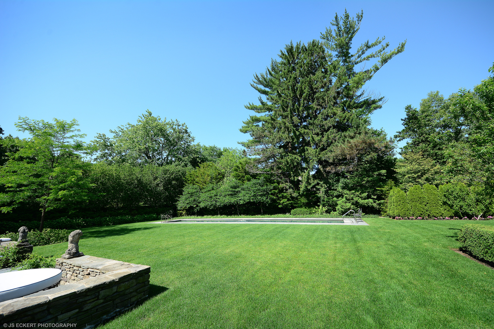 1320 Elm Tree Road Lake Forest, IL 60045 - Photo 6 of 52 a view of yard with grass and trees