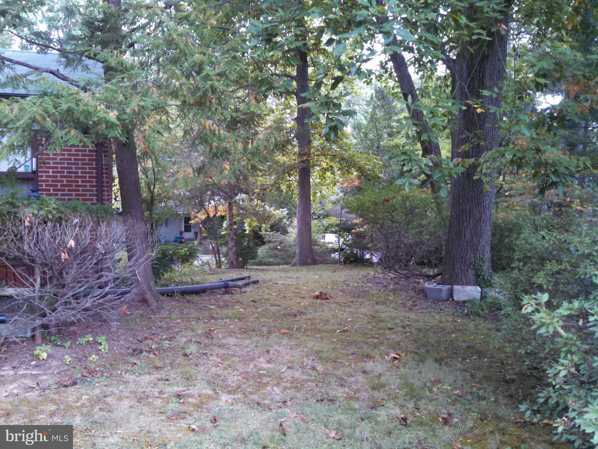 2007 Pagebrook Road Silver Spring, MD 20903 - Photo 24 of 24 a view of outdoor space and garden