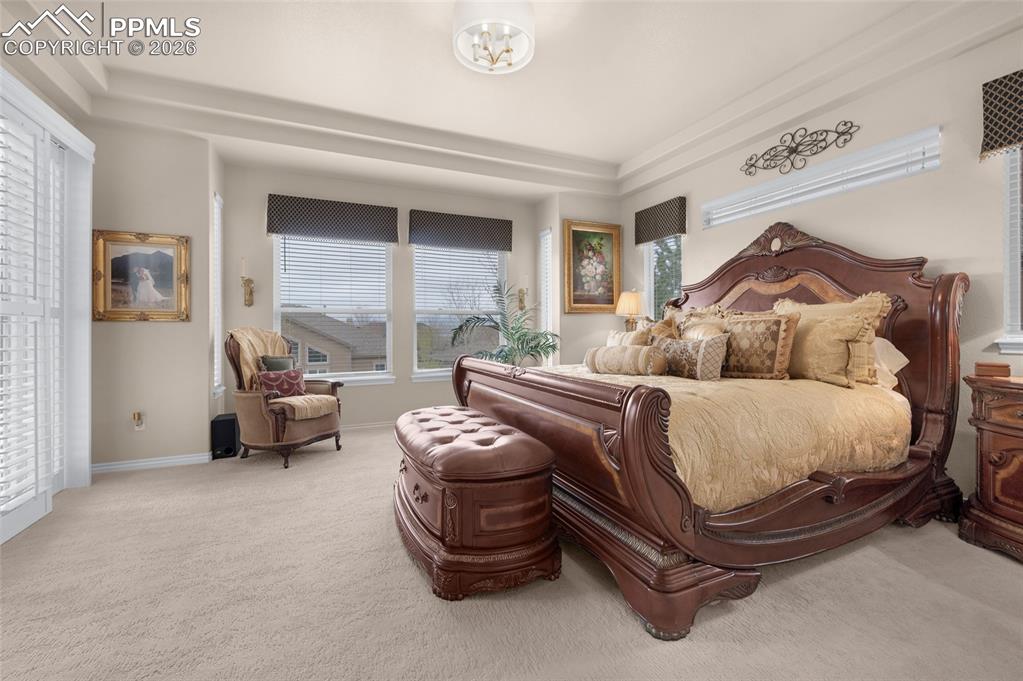 13320 Clinet Drive Colorado Springs, CO 80921 - Photo 19 of 50 a bedroom with a bed and a couch