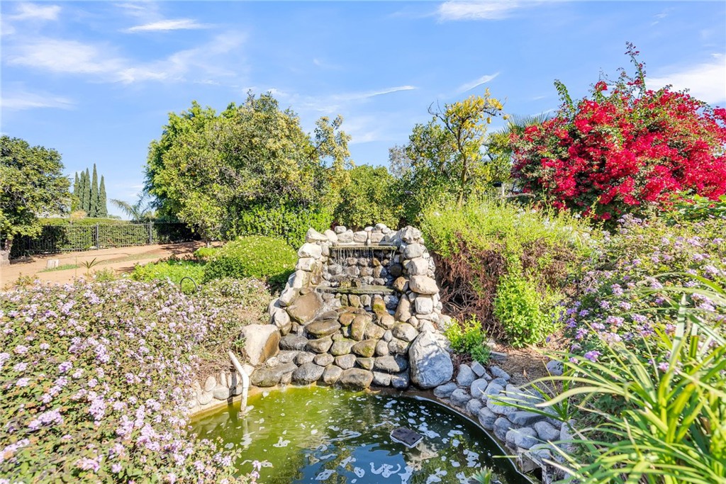 10651 Orchard View Lane Riverside, CA 92503 - Photo 29 of 35 a picture of flowers