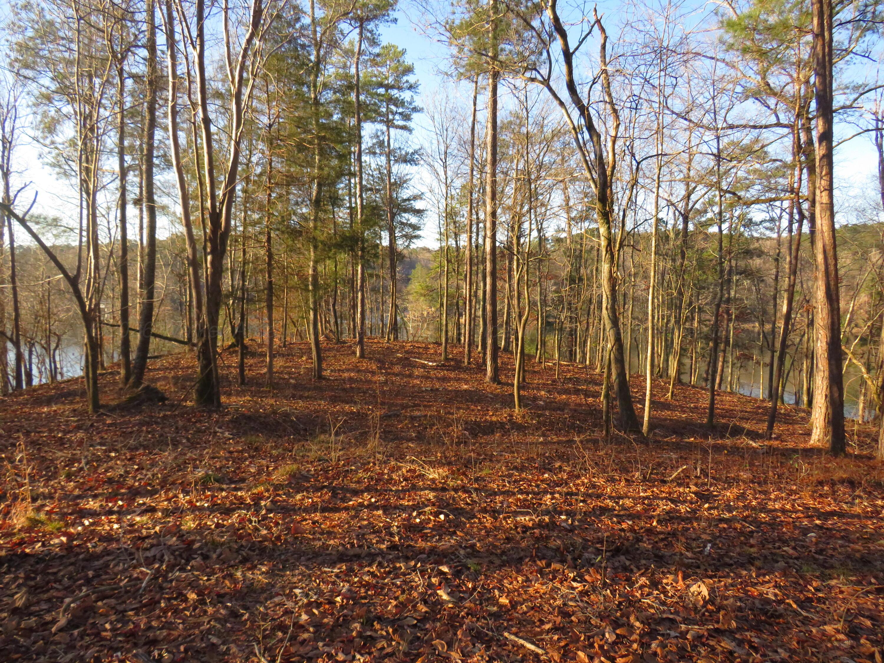 Lot #4 Rock Ridge Lane Arley, AL 35540 - Photo 3 of 5 IMG_0760