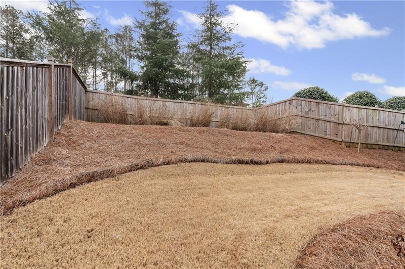 141 Fieldbrook Crossing Canton, GA 30115 - Photo 40 of 45 a view of a backyard
