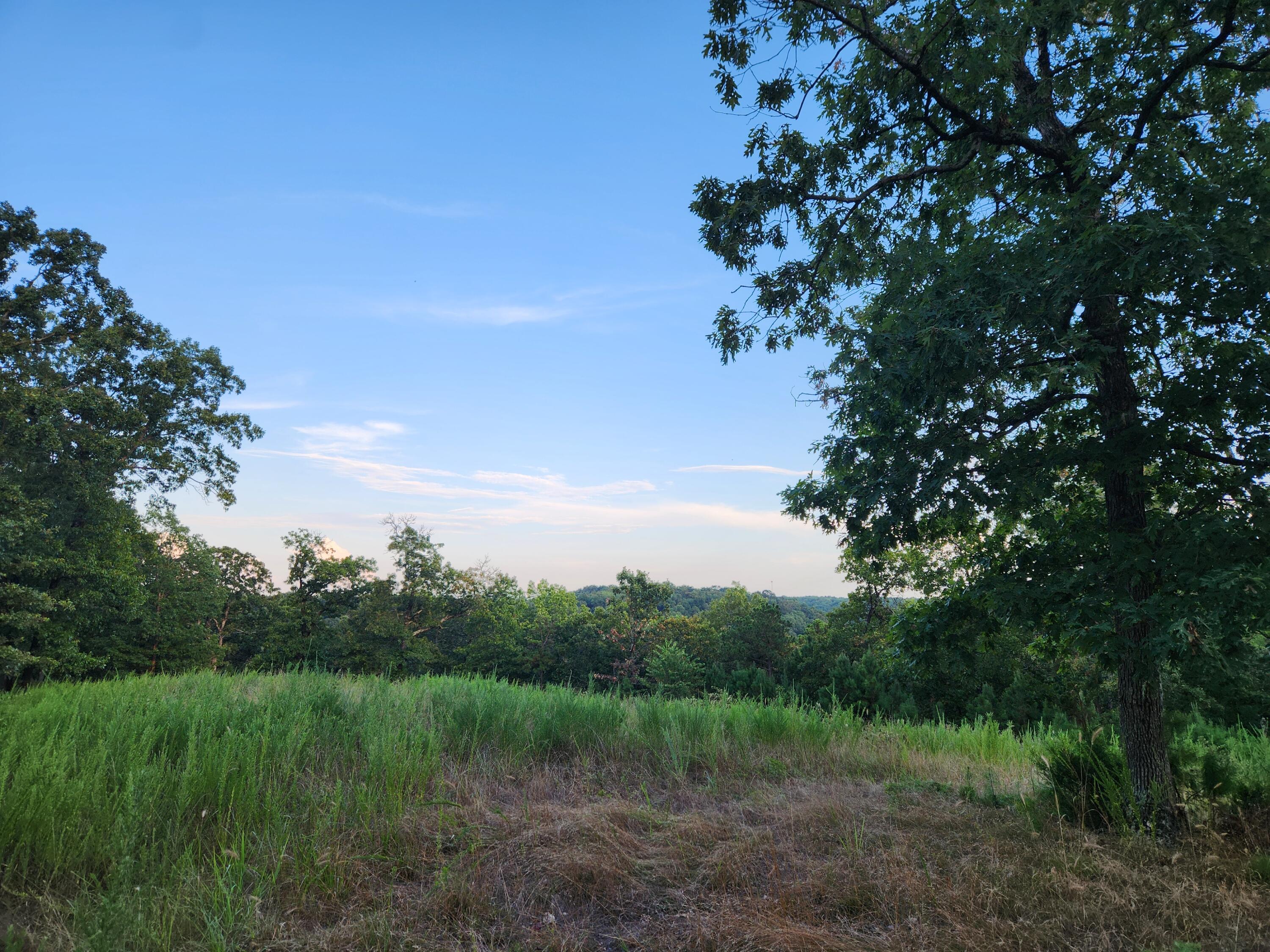 0 Peace Lane Ridgedale, MO 65739 - Photo 1 of 1 20250818_185624