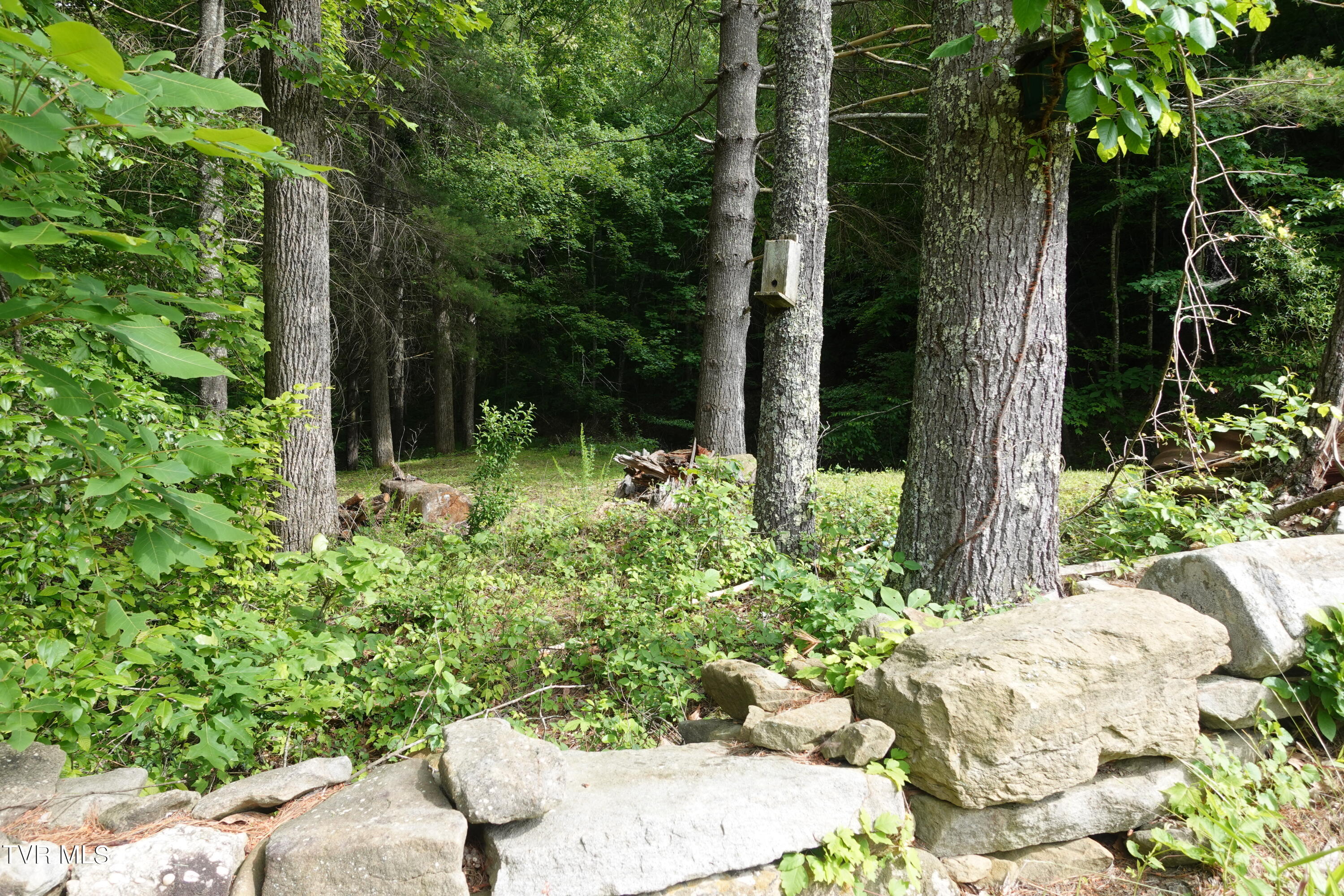 639 Dream Farm Road Birchleaf, VA 24220 - Photo 62 of 153 DSC00247