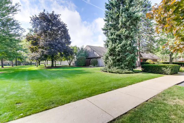 208 East Bailey Road, Unit A Naperville, IL 60565 - Photo 17 of 20 a view of a park with large trees