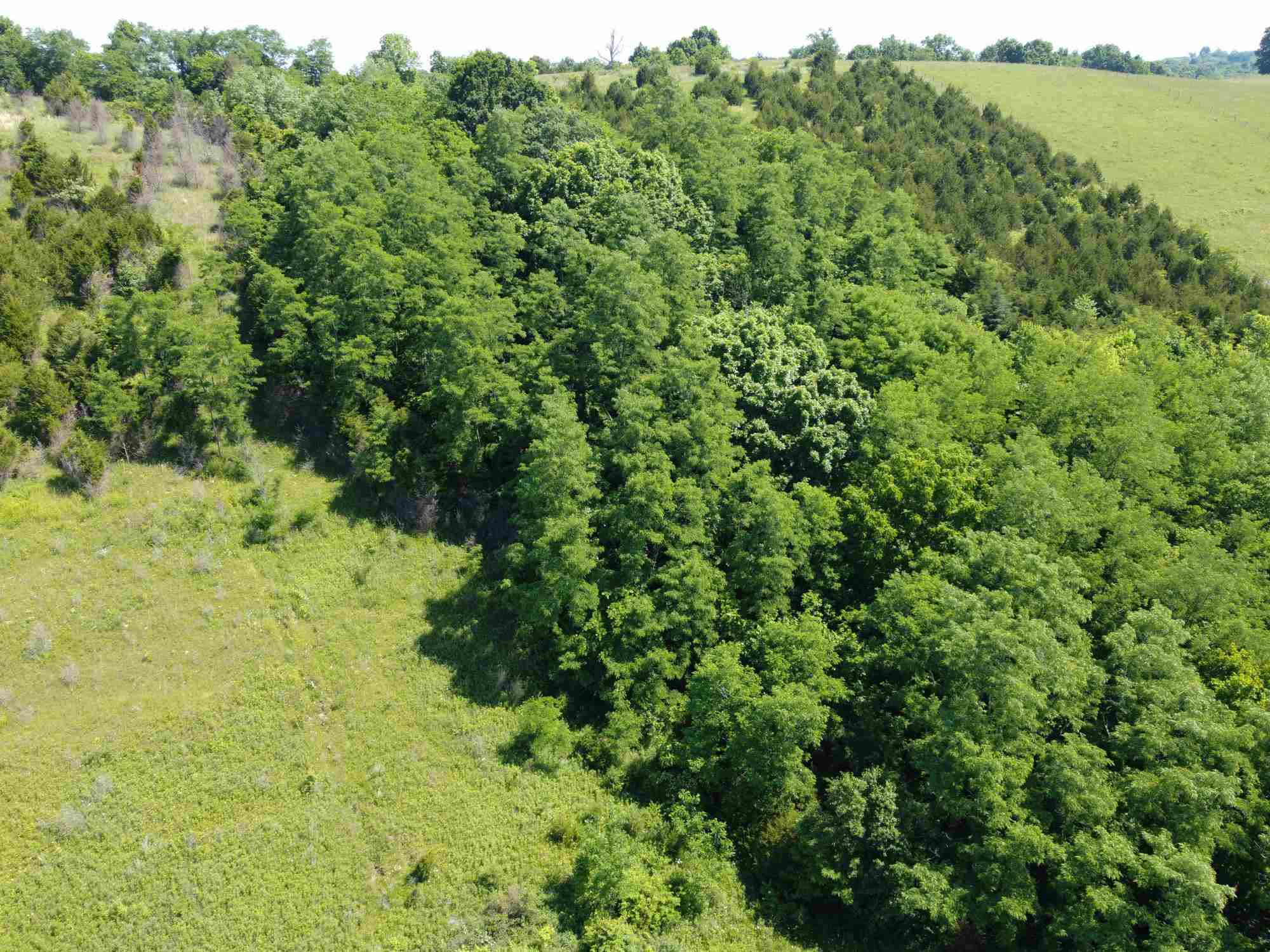 0 Fords Mill Road Dry Ridge, KY 41035 - Photo 21 of 30