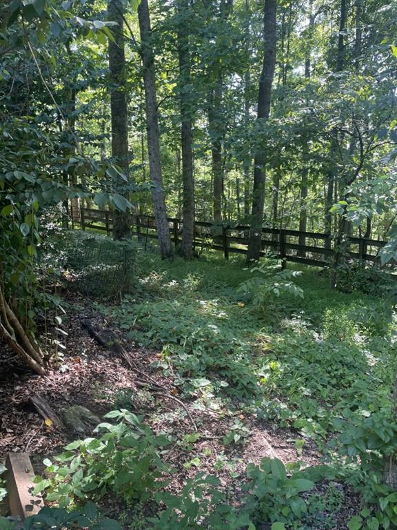 988 Rocktree Road Dahlonega, GA 30533 - Photo 50 of 53