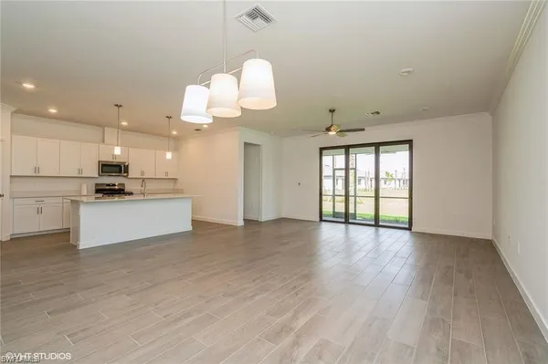 a view of a backyard with plants