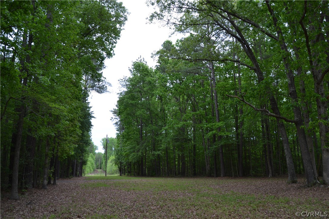 0 Cut Bank Road Warfield, VA 23889 - Photo 1 of 42 Spring Photo