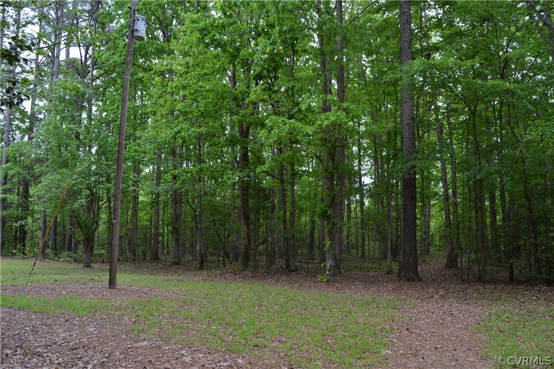 0 Cut Bank Road Warfield, VA 23889 - Photo 11 of 42 Gallery Image 11
