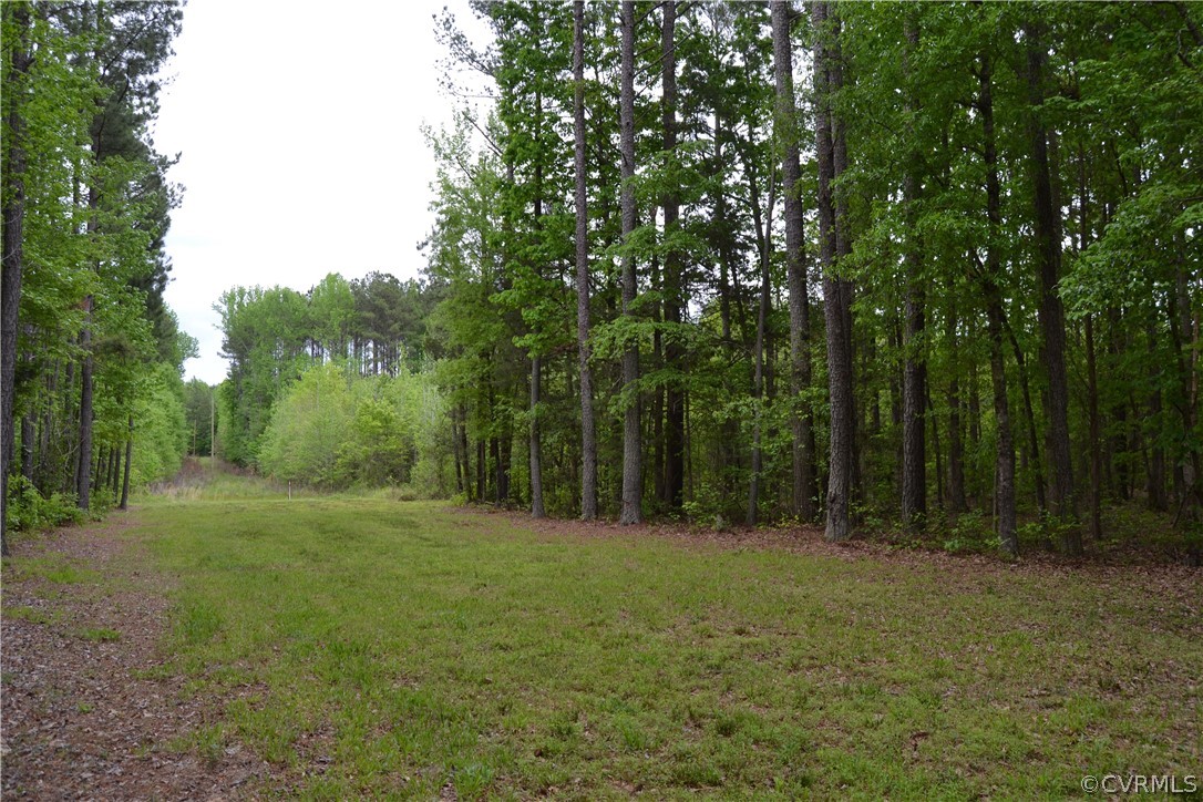 0 Cut Bank Road Warfield, VA 23889 - Photo 12 of 42 Gallery Image 12