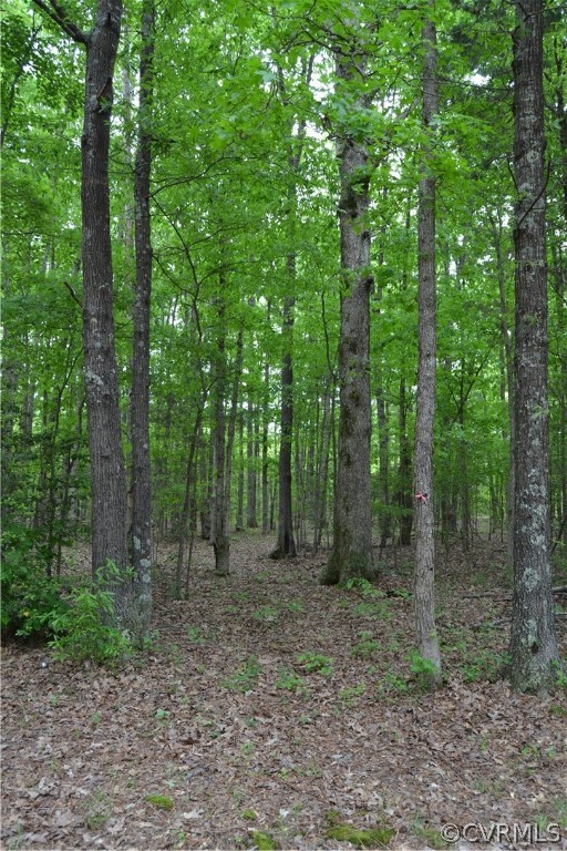 0 Cut Bank Road Warfield, VA 23889 - Photo 15 of 42 Gallery Image 15
