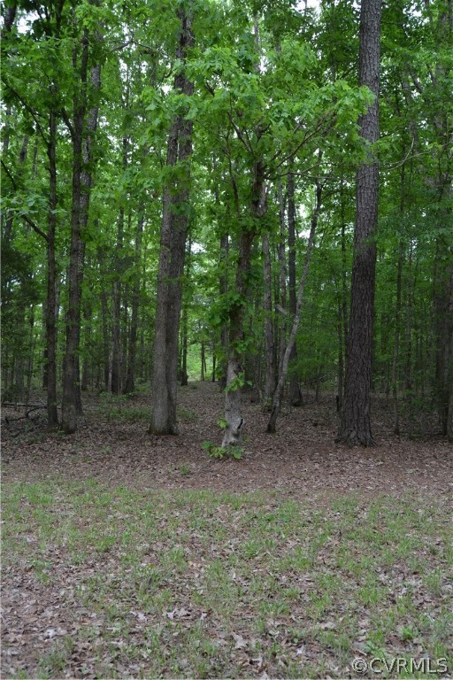 0 Cut Bank Road Warfield, VA 23889 - Photo 16 of 42 Gallery Image 16