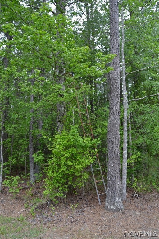 0 Cut Bank Road Warfield, VA 23889 - Photo 17 of 42 Gallery Image 17