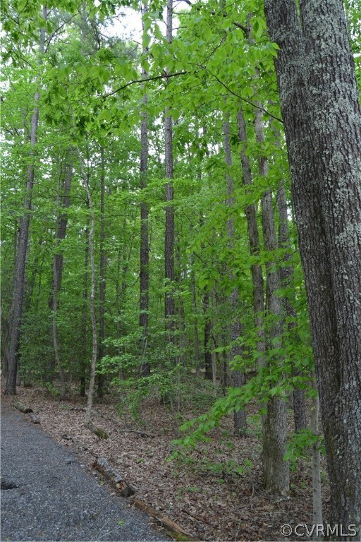 0 Cut Bank Road Warfield, VA 23889 - Photo 19 of 42 Gallery Image 19