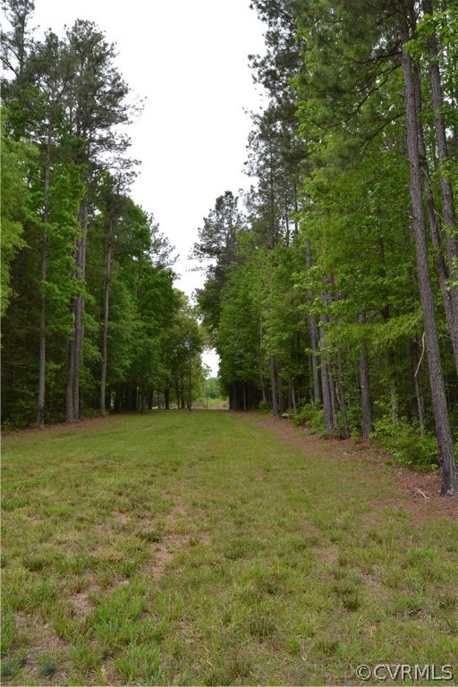 0 Cut Bank Road Warfield, VA 23889 - Photo 20 of 42 Gallery Image 20