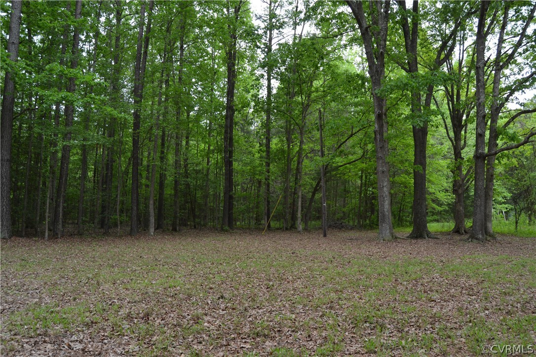 0 Cut Bank Road Warfield, VA 23889 - Photo 2 of 42 Gallery Image 2
