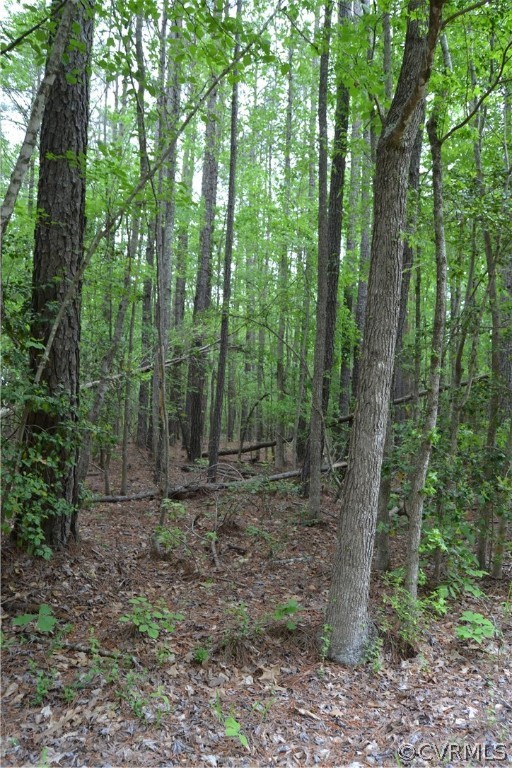 0 Cut Bank Road Warfield, VA 23889 - Photo 24 of 42 Gallery Image 24