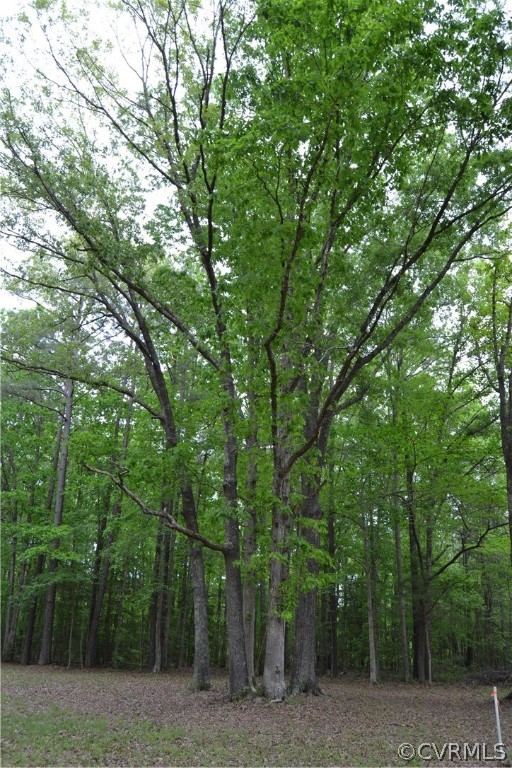 0 Cut Bank Road Warfield, VA 23889 - Photo 26 of 42 Gallery Image 26