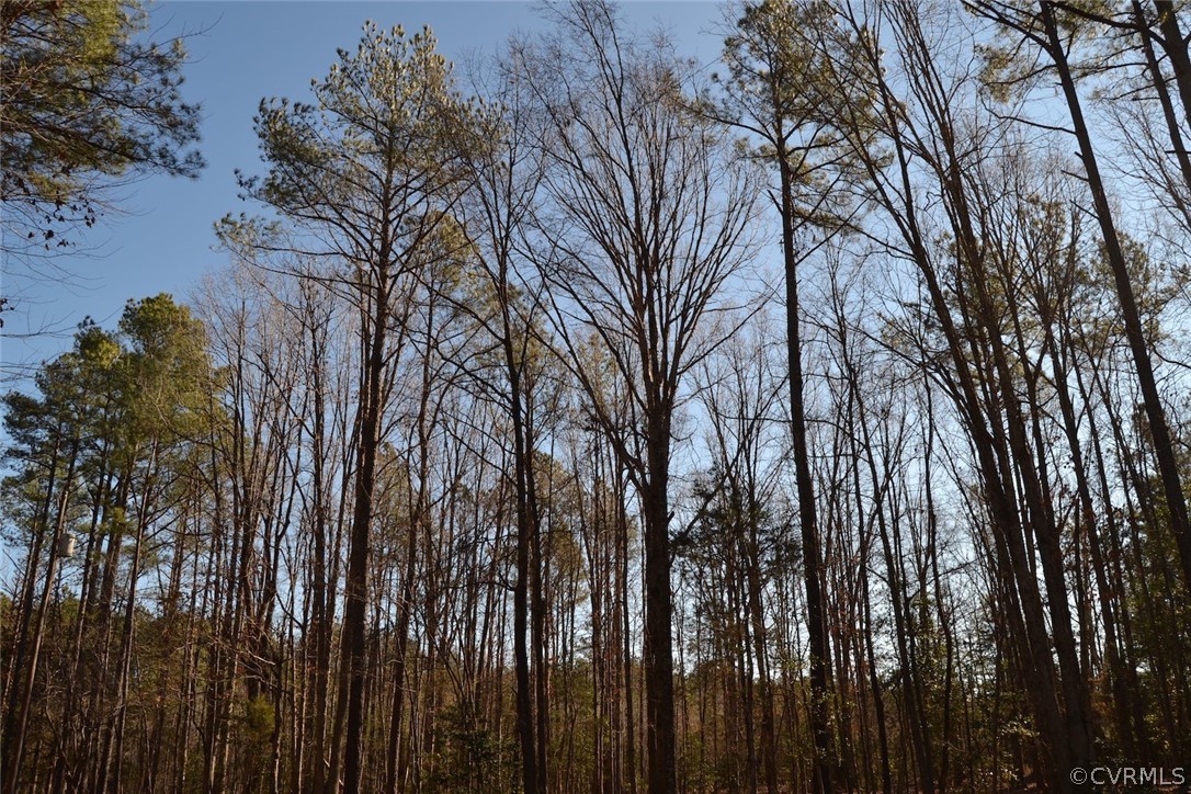 0 Cut Bank Road Warfield, VA 23889 - Photo 27 of 42 winter photo