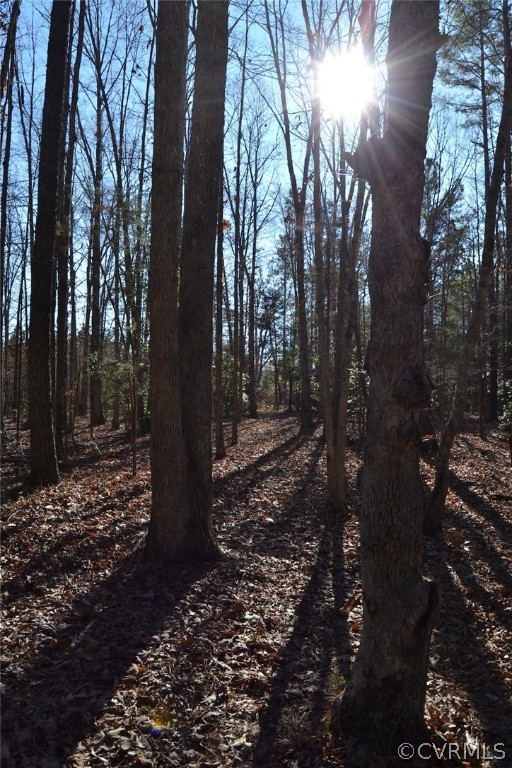0 Cut Bank Road Warfield, VA 23889 - Photo 31 of 42 Gallery Image 31