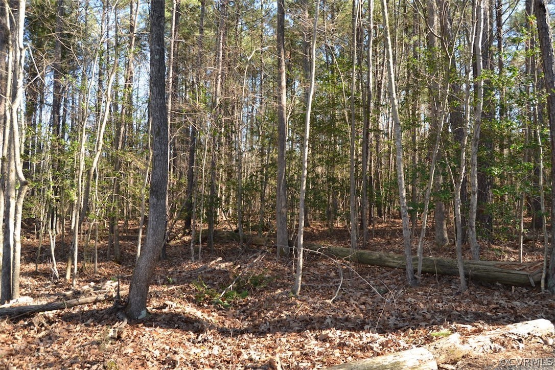 0 Cut Bank Road Warfield, VA 23889 - Photo 35 of 42 Gallery Image 35