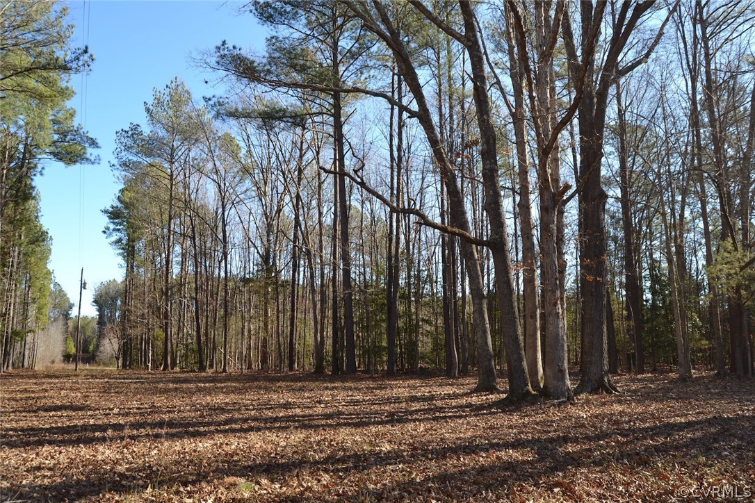 0 Cut Bank Road Warfield, VA 23889 - Photo 38 of 42 Gallery Image 38