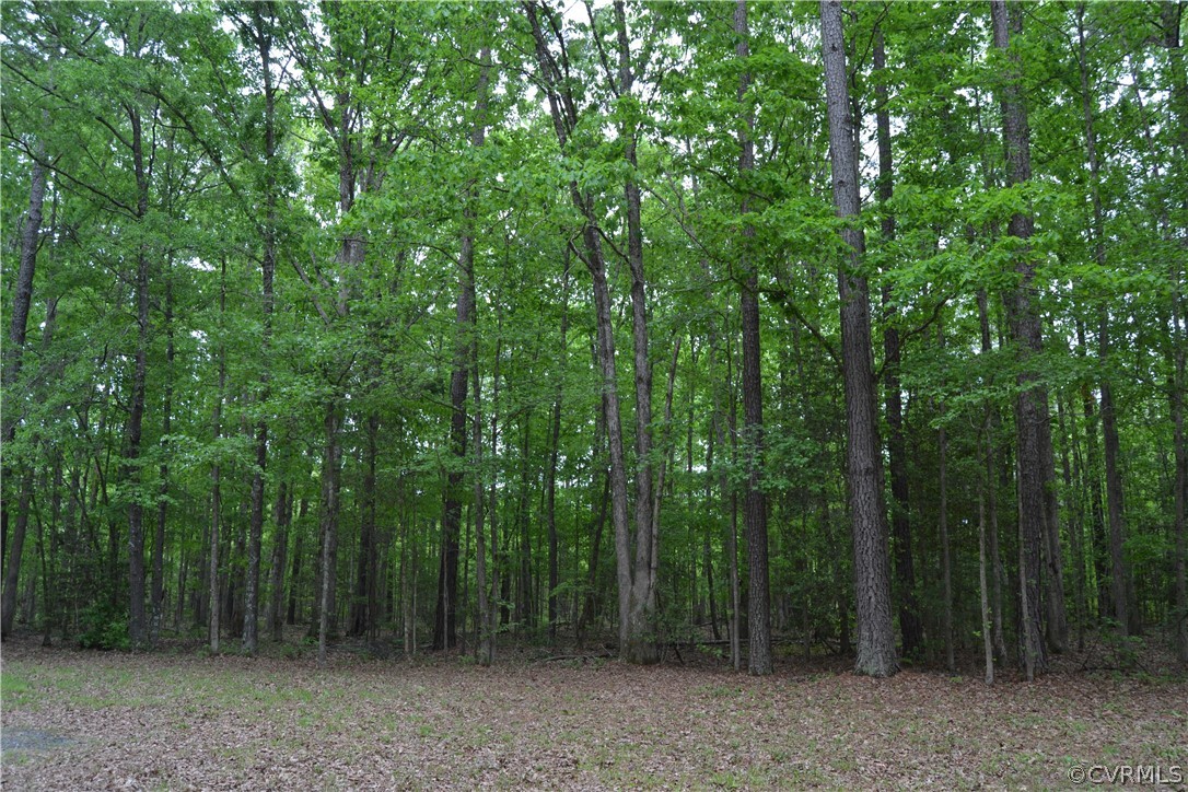 0 Cut Bank Road Warfield, VA 23889 - Photo 4 of 42 Gallery Image 4