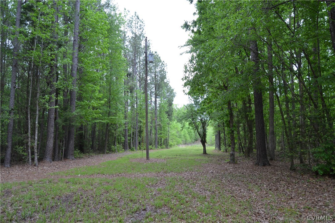 0 Cut Bank Road Warfield, VA 23889 - Photo 5 of 42 Gallery Image 5