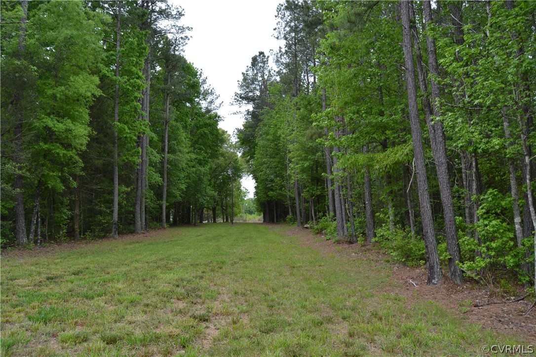 0 Cut Bank Road Warfield, VA 23889 - Photo 6 of 42 Gallery Image 6