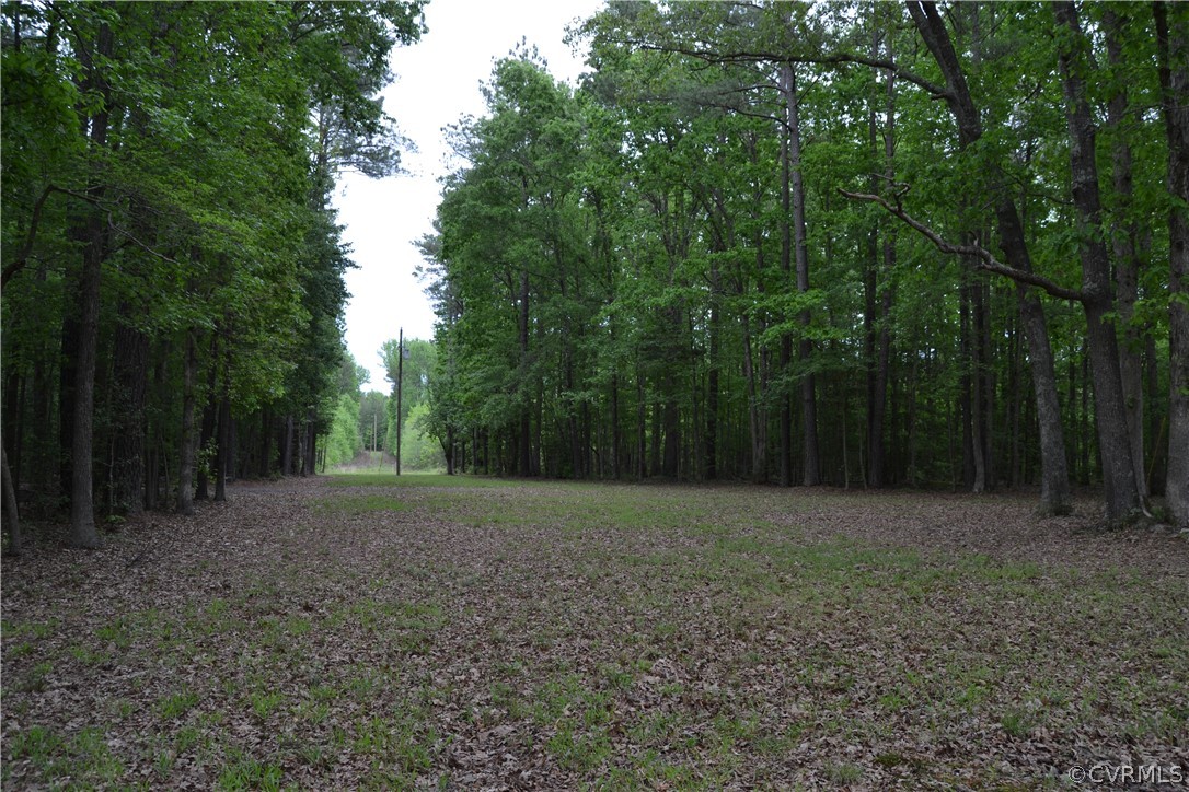 0 Cut Bank Road Warfield, VA 23889 - Photo 7 of 42 Gallery Image 7