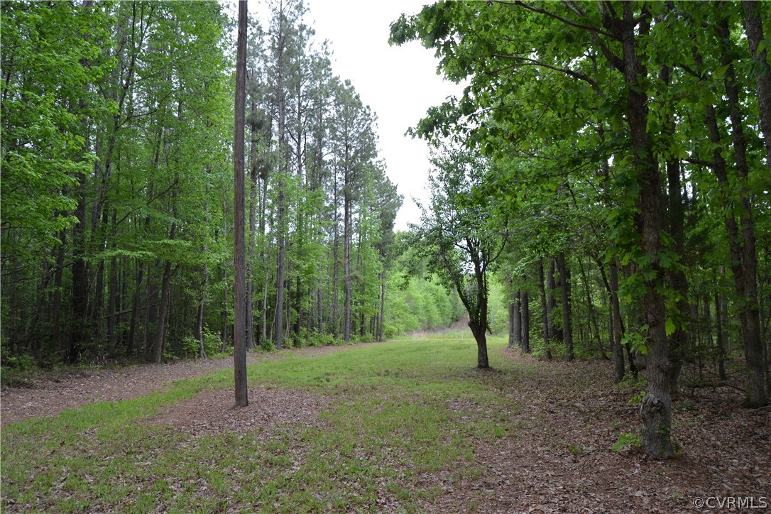 0 Cut Bank Road Warfield, VA 23889 - Photo 9 of 42 Gallery Image 9