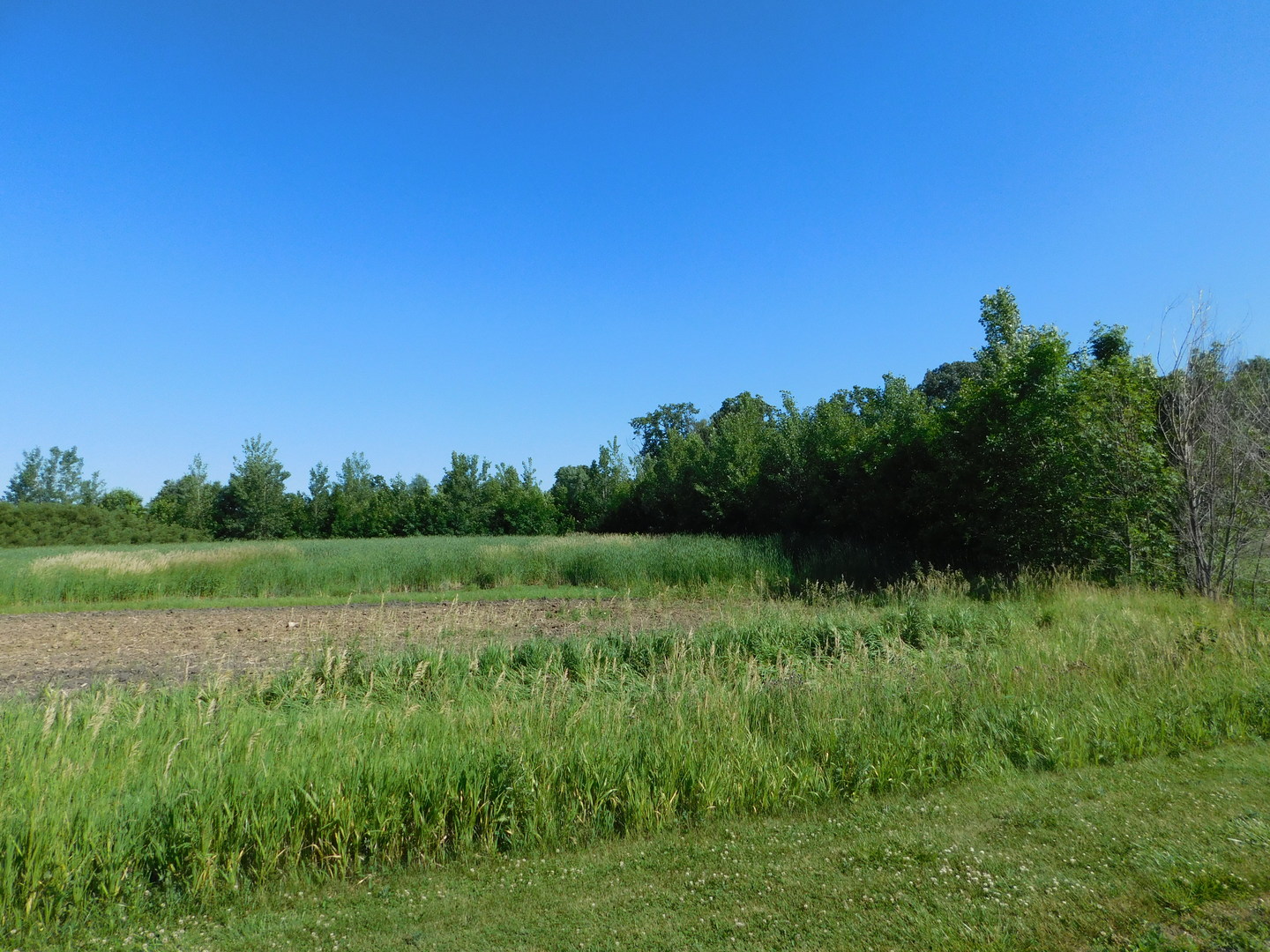 1386 North 4535th Road Earlville, IL 60518 - Photo 2 of 4