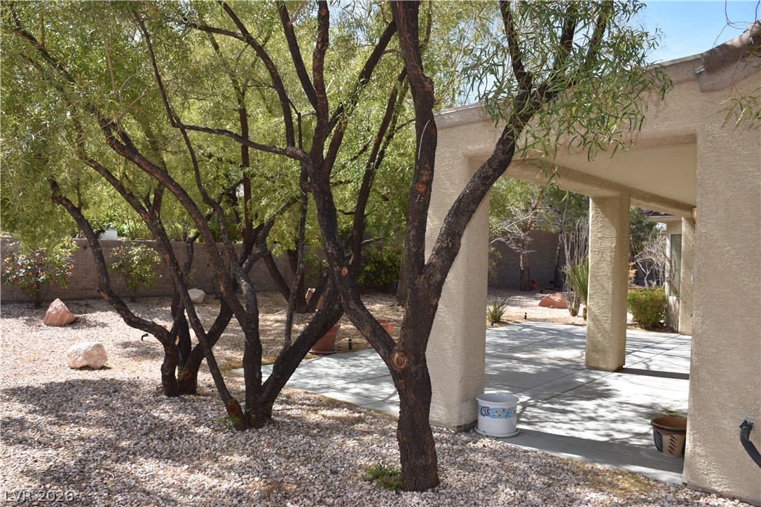 1680 Fieldbrook Street Henderson, NV 89052 - Photo 22 of 32 Mature trees shade a spacious concrete patio perfect for outdoor relaxation.