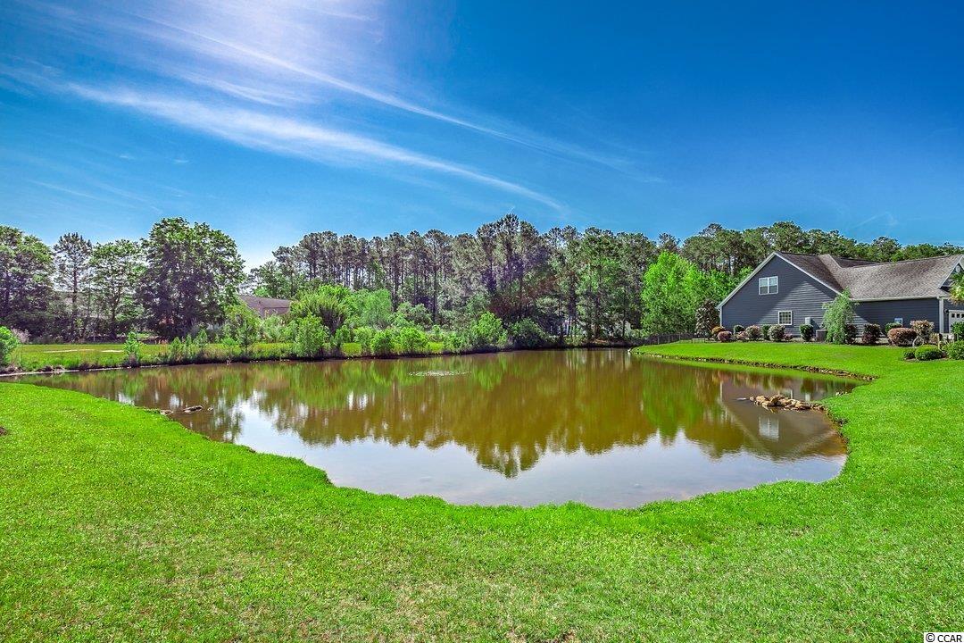 284 Outboard Drive Murrells Inlet, SC 29576 - Photo 28 of 40