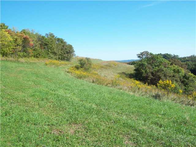 0 Long Ridge Road Clarington, OH 43946 - Photo 3 of 5