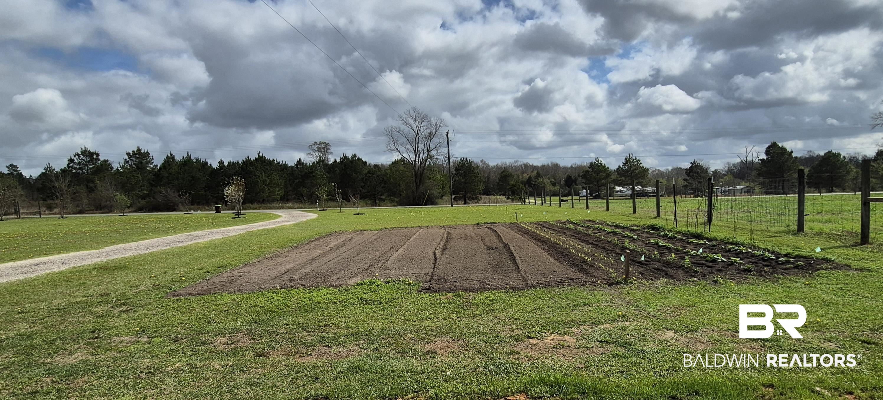 26635 Highway 41 Range, AL 36473 - Photo 69 of 74 View of property's community with a view of rural / pastoral area