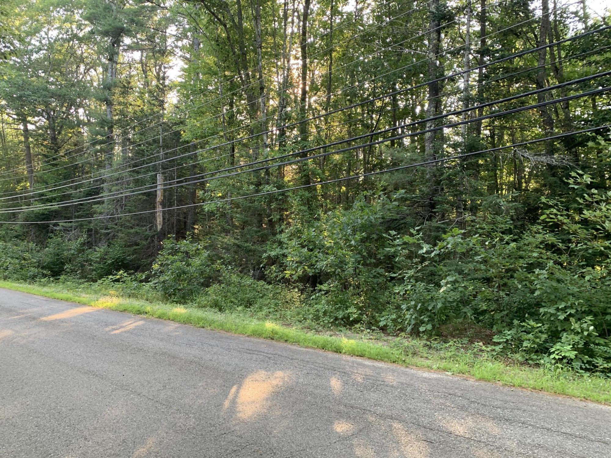 0 Dunbars Road Orland, ME 04472 - Photo 5 of 5 20200805_220731532_iOS