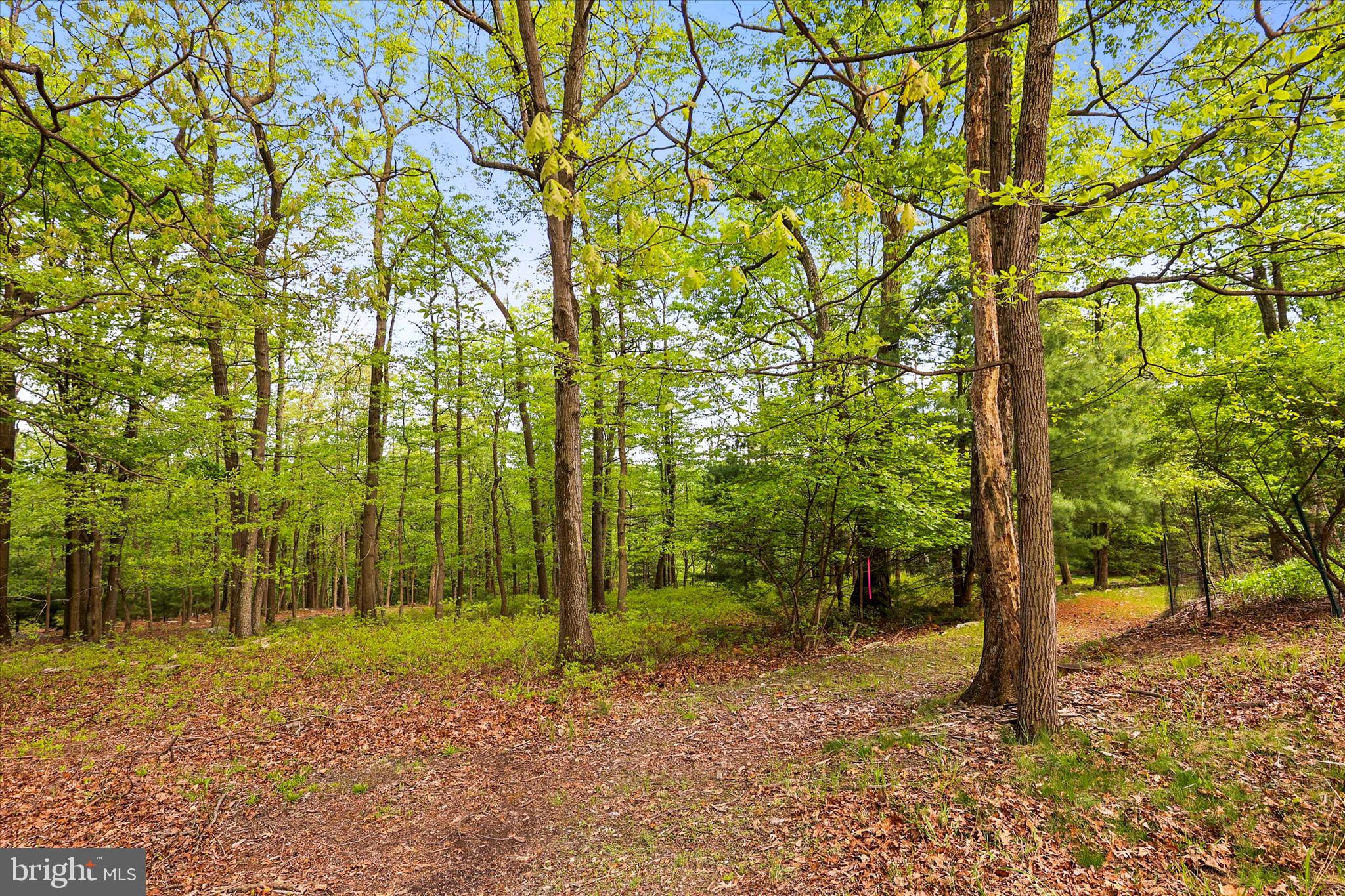 166 Woodview Road Biglerville, PA 17307 - Photo 60 of 65